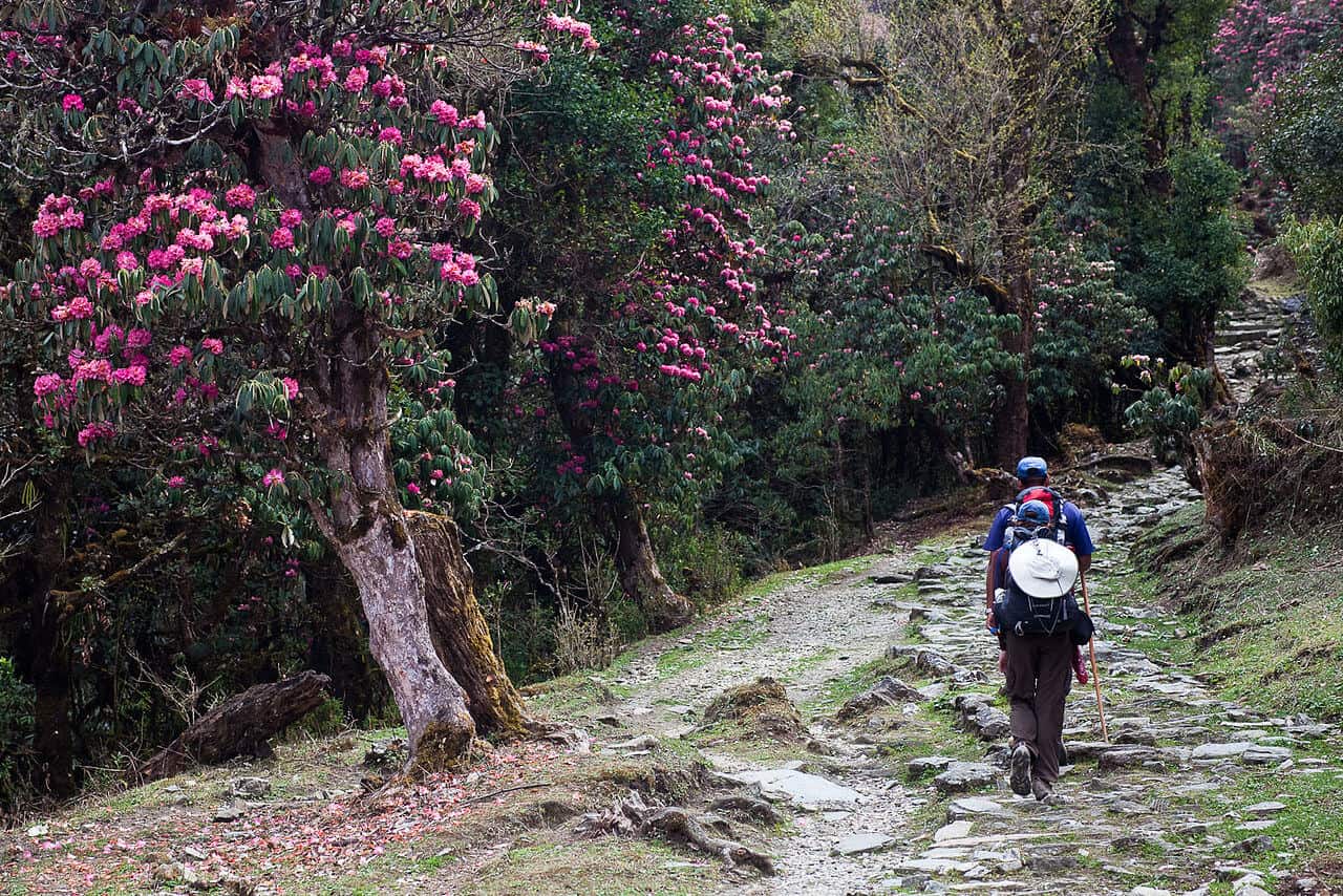 Trekking in Nepal in March