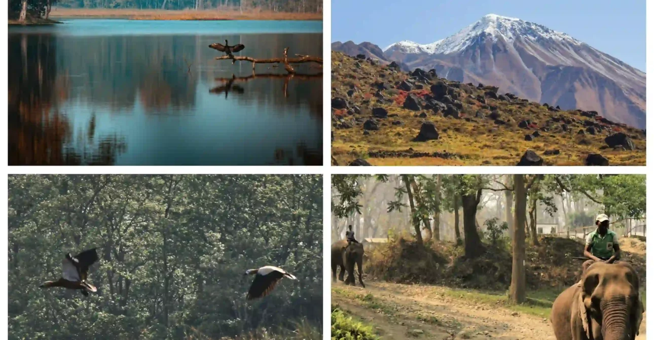 Top 8 National Parks of Nepal – From Jungles to Mountains